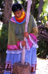 Lottie Shore pounding corn - Brighton Reservation, Florida
