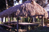 Traditional Seminole chickee - Brighton Reservation, Florida