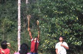 Seminole boys and girls playing stick ball - Big Cypress Reservation, Florida