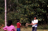 Seminole children playing stick ball - Big Cypress Reservation, Florida