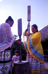 Sisters Alice and Rosie Billie pound corn - Ochopee, Florida