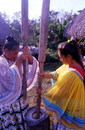 Sisters Alice and Rosie Billie pound corn - Ochopee, Florida