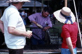 Tommy Noles making a crab trap - White Springs, Florida