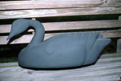 Blue billed duck decoy made by Mike Berg - Jacksonville, Florida