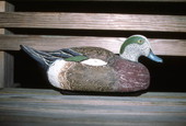 Blue billed duck decoy made by Mike Berg - Jacksonville, Florida