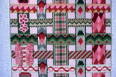 Needlepoint made by Fula Peletti- Apopka, Florida