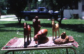 Animal woodwork done by Tony Dell - Oviedo, Florida