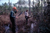 Neil Brooks and Robert Rudd looking for cypress to cut down for furniture - Bronson, Florida
