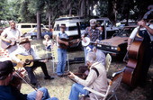 Folk string band performing - Jacksonville, Florida