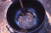 View of boiled peanuts at the Renaissance Park Cultural Festival in Marianna, Florida.