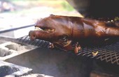Lechon being barbecued - Jacksonville, Florida