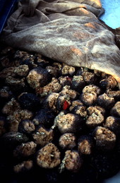 Sponges collected by Greek divers - Tarpon Springs, Florida