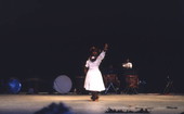 View showing a participant performing during a hula dance competition - Orlando, Florida.