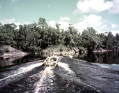 Boating trip along the Suwannee River.