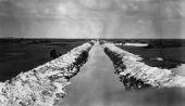 Muck soil along an Everglades drainage canal west of Fort Lauderdale