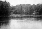 Silver Springs - Marion County, Florida