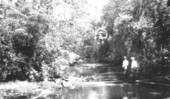 Newport Springs - Wakulla County, Florida