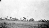 Prairie southwest of Indian Praire Canal