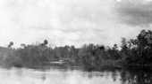 Weeki Wachee Springs - Weeki Wachee, Fla.