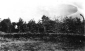Shell mound on Merritt Island