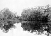 Deep Lake about twelve miles north of the Everglades