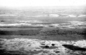 Tamiami tree islands and sloughs in the western part of the Everglades