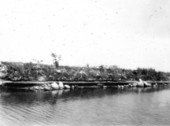 Tamiami Canal bank in the Everglades showing a layer of marl interbedded in the peat