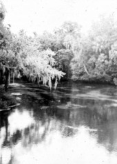 Homosassa Springs - Citrus County, Florida