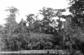 Deep Lake about twelve miles north of the Everglades
