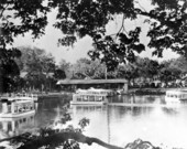 Florida's world famous Silver Springs at its source