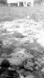 Miami oolite covered at high tide - Tavernier, Florida.