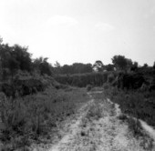 Panorama of an abandoned mine of the Ocala Group