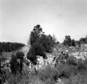 Panorama of an abandoned mine of the Ocala Group