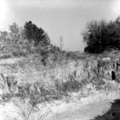 Road leading into a quarry of the Ocala Group