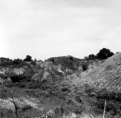 Outcrop of the Ocala Group