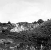 Outcrop of the Ocala Group
