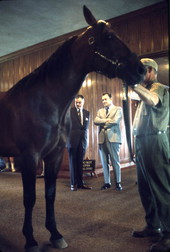 Governor Claude Kirk at a horse farm