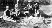 Lunch break during a quail hunt - Leon County, Florida
