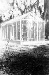 Chicken coop at Live Oak Plantation - Leon County, Florida