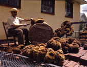 View showing a Greek-American sponge worker trimming sponges in Tarpon Springs, Florida.