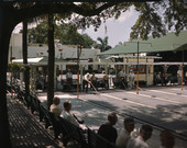 View showing players at the St. Petersburg Shuffleboard Club.