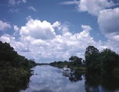 Scenic view showing boats traveling on the Caloosahatchee River.