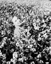 Lois Duncan Steinmetz in a field of daisies in Taos, New Mexico.