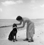 Woman coaxing dog into giving up the fish in Naples, Florida.