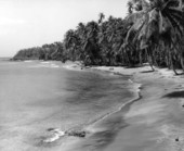 Beach at Tobago.