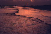 Scenic view of a sunset in Sarasota, Florida.
