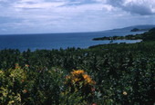 Scenic view in Nassau, Bahamas.
