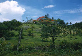 Scenic view in Nassau, Bahamas.