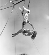 View of young people on the trapeze at the Sarasota High School Sailor Circus.