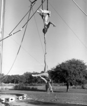 View showing young people on the trapeze at the Sarasota High School Sailor Circus.